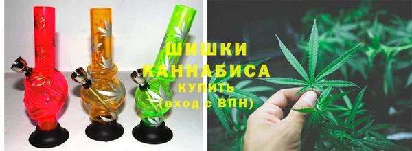 молекула духа Нягань