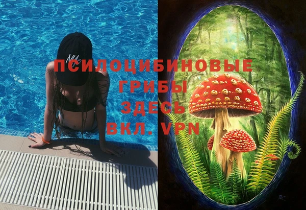 Альфа ПВП Арсеньев